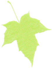 hoja-03