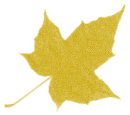 hoja-18